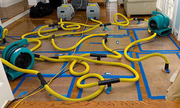 Professional Storm Water Damage Restoration technician working in Wilmore, KY